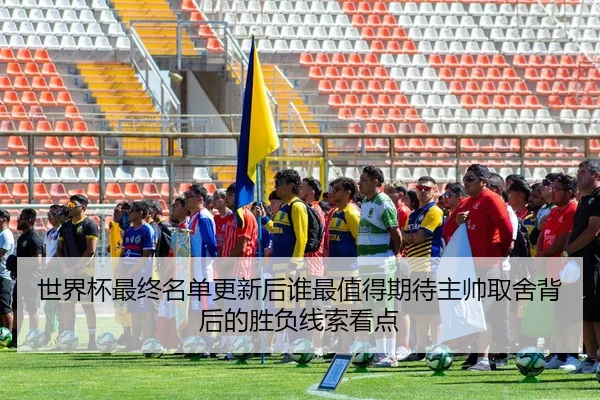 世界杯最终名单更新后谁最值得期待主帅取舍背后的胜负线索看点